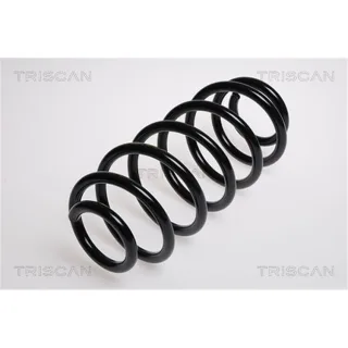 Triscan Feder hinten Toyota Yaris Verso P2 875013104