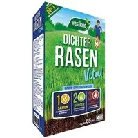 Westland Rasensamen Westland 3 in 1 Rasenpflege Dichter Rasen Vital 3