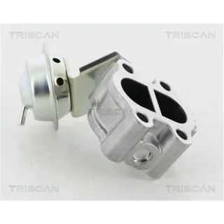 Triscan AGR-Ventil Lexus Is Toyota Auris Avensis Rav Verso