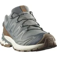 Salomon XA PRO 3D V9 GTX LIFELONG M Trailrunningschuh wasserdicht