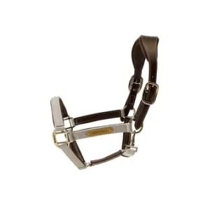 Halfter KY Nylon anatomic