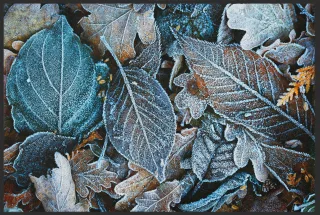 Fussmatte 10187 | Größe: 60 cm x 45 cm
