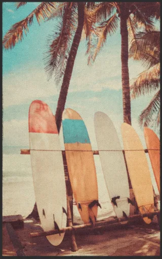 Fussmatte Surfbrett 7248 | Größe: 60 cm x 90 cm