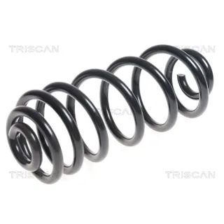 Triscan Feder hinten BMW X5 E70 3,0