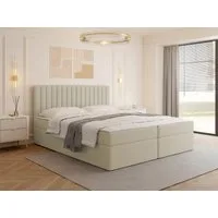 MIRJAN24 Boxspringbett Tirulo (mit zwei Bettkästen für die Bettwäsche), 140/160/180x200 cm, Polsterkopfteil