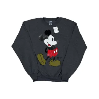 Disney - Sweatshirt für Herren (Grau meliert)