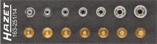 HAZET Werkzeug-Satz TORX® Einlage 14-teilig - 163-251/14