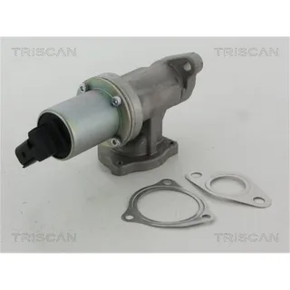 Triscan AGR-Ventil Hyundai Santa Fe 2 2,2