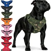 Reichstadt Hunde-Geschirr RS Pets Norwegergeschirr 25RSP083, Polyester, atmungsaktives Netzgewebe und robuster Oxford-Stoff