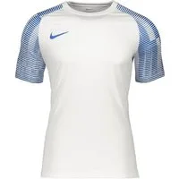 Nike Fußballtrikot Nike Performance Academy Trikot Kids Teamsport