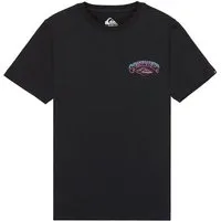 Quiksilver T-Shirt Palm Horizon