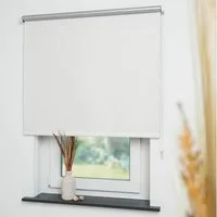 Seitenzugrollo Thermo-Rollo, Liedeco, verdunkelnd, verschraubt