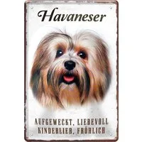 WOGEKA ART Metallbild Hunde-Rassen Steckbrief 20 x 30 cm Blechschild Haustier Hund Deko, Havaneser