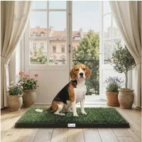 PawHut Hundetoilette 76 x 50,5 cm Welpentoilette Welpenklo Hundeklo mit 2 Kunstrasen, für Welpen und Hunde für Balkon Zuhause Wohnung