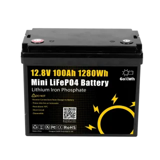 GoKWh 12V 100Ah LiFePO4 Battery Pack Built-in BMS Portable Deep Cycle Low Self Discharge High Energy Density for RV Boat