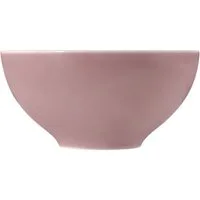 Seltmann Weiden Schüssel Seltmann Weiden Beat Altrosa Schüssel 15,5cm, Porzellan, (1 Schüssel)