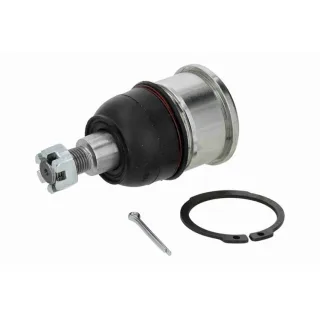 Ackoja Traggelenk vorne Honda Accord 7