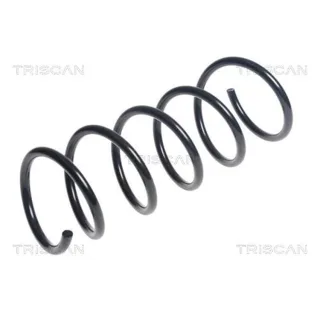 Triscan Feder vorne Dacia Duster 1,6