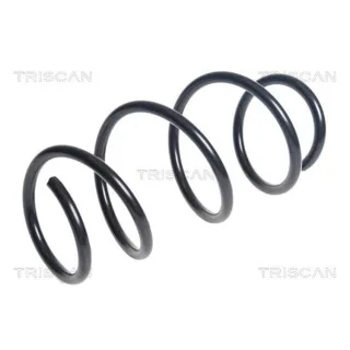 Triscan Feder vorne BMW 2er X1 875011228