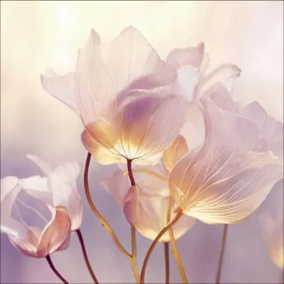 Aludibondbild FLOWERS IX