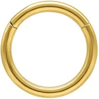 Wildcat Nasenpiercing Hinged Ring für Ohr, Nase, Lippe, Bauchnabel, 1 Stück, Titan Grad 23 - wasserfest, hautverträglich, Gold