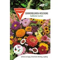 FRANKONIA Blumensamen Sommerblumen-Mischung, halbhohe Sorten Blumenmischung Saatgut Samen