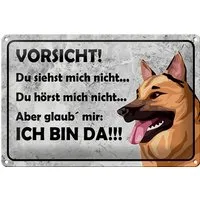 Hebold Metallschild Schild Blech 30x20cm - Made in Germany - Vorsicht Hund Du siehst mich