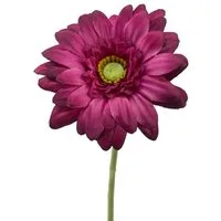 Kunstblume Kunstblume, Seidenblume GERBERA Mini 47cm, Floratexx GmbH, Höhe 47.00 cm