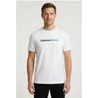 Calvin Klein Jeans T-Shirt JEANS GRAPHICS Regular fit mit Markenprint