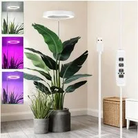 Laybasic Pflanzenlampe 72LEDs Pflanzenlampe Vollspektrum,Garten Zimmergewächshaus Growlight, 35–155 cm höhenverstellbar,Dimmbare Helligkeit,3/9/12H Timer