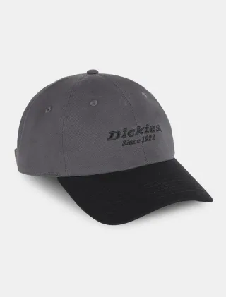 Dickies Mützen TWILL DAD HAT