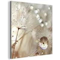 MuchoWow Metallbild Natur - Blumen - Tropfen - Regen, Inkl. Aufhängung, Alu-Dibond-Druck, Wandbild aus Metall, Aluminium deko, 20x20 cm