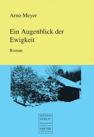 Ein Augenblick der Ewigkeit: Roman