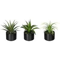 Künstliche Zimmerpflanze Set aus Aloe, Agave und Tillandsie Sukkulente, Creativ green, Höhe 15 cm, im Keramiktopf, 3er Set