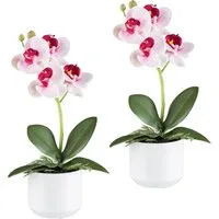 Kunstorchidee Orchidee Phalaenopsis, Creativ green, Höhe 27 cm, mit real-touch-Blüten