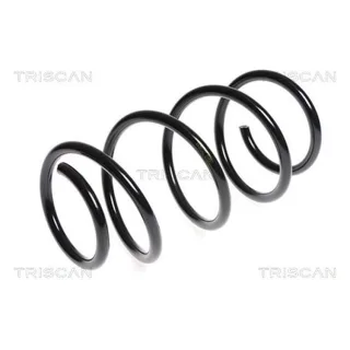 Triscan Feder vorne Fiat 500 875015150