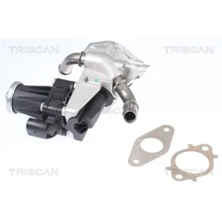 Triscan AGR-Ventil Citroen Ford Land Rover Peugeot 881316150