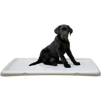 Kerbl Hundetoilette