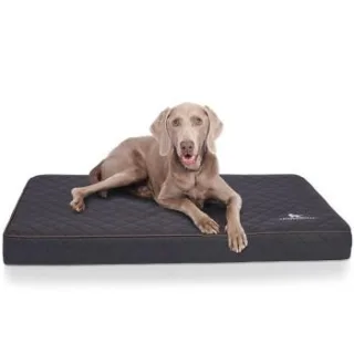 Knuffelwuff Orthopädische Hundematte Juna aus laser-gestepptem Kunstleder schwarz L