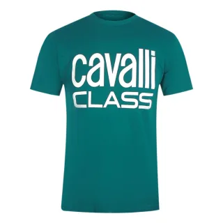 Grünes T-shirt Der Marke Cavalli Class