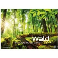 Wandkalender Wald - Erholung für Mensch und Tier - 2027 - Kalender DIN A3