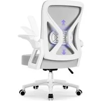 Hiazurm Bürostuhl Bürostuhl,Chefsessel aus Mesh,Ergonomischer Schreibtischstuhl (Verstellbarer Armlehnen, Lendenwirbelstütze,Drehstuhl Wippfunktion,Atmungsaktiv), Verlängerte und Verbreiterte Rückenlehne, Bis 155 kg,Schwarz