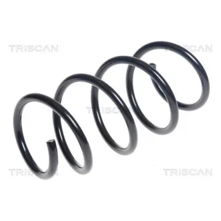 Triscan Feder vorne Audi A3 8V 875029397