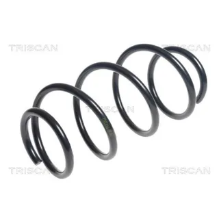 Triscan Feder vorne Fiat 500 875015194
