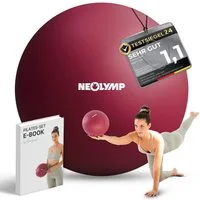 NEOLYMP Pilatesball Pilatesball 20 cm - rutschfester Pilates Ball inkl. Pumpe (Kompakter Exercise Ball für Yoga & Physiotherapie inkl. E-Book), Mini Gymnastikball aus Silikon für Core-Training, Balance, Pilates