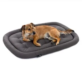 Doctor Bark Pointer Hundekissen grau L