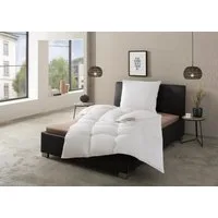 RIBECO Federbettdecke Laram, Bettdecken für Sommer oder Winter, Made in Germany, Füllung: 90% Federn, 10% Daunen, Bezug: 100% Baumwolle, Super Preis-Leistung, Bettdecke 135x200 cm oder 155x220 cm, Decke
