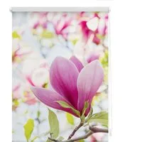 Seitenzugrollo Klemmfix Motiv Magnolie, LICHTBLICK ORIGINAL, Lichtschutz, ohne Bohren, freihängend, Klemmfix, bedruckt