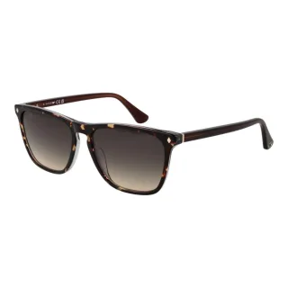 Web Brown Acetat Sonnenbrille
