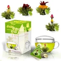 Creano Tee ErblühTeelini Geschenkset mit Teeglas und 8 Teeblumen, grüner Tee, 1 x 1 St.
